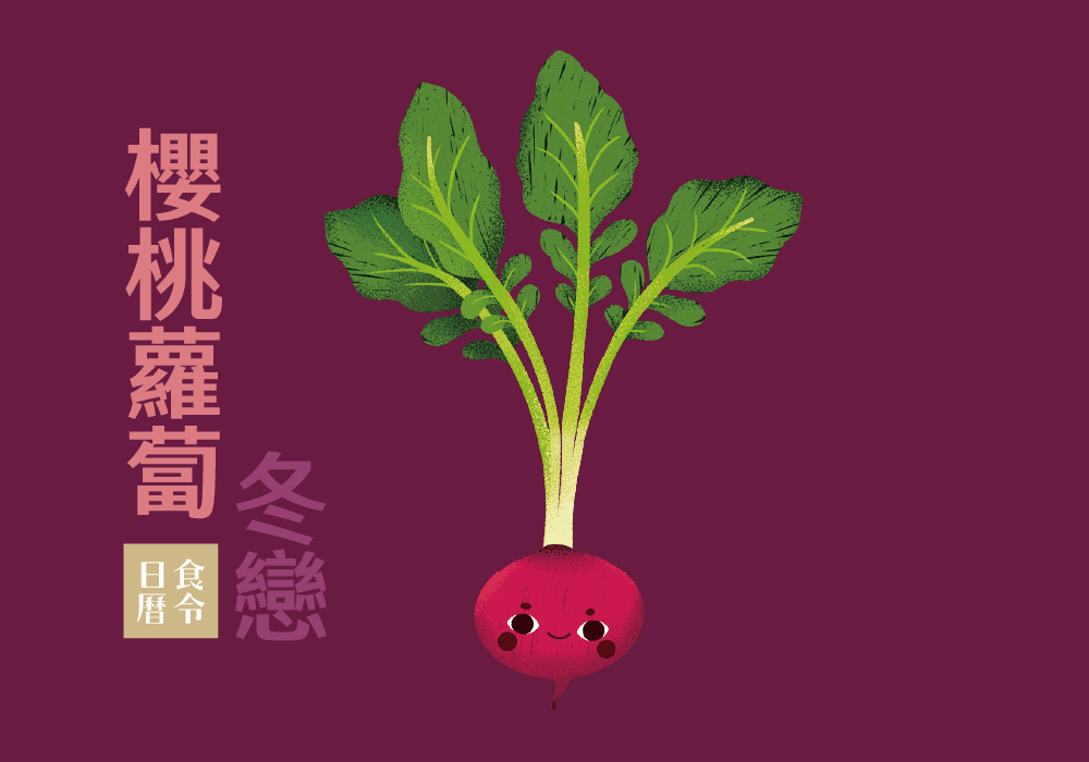 食令生活哲學_櫻桃蘿蔔