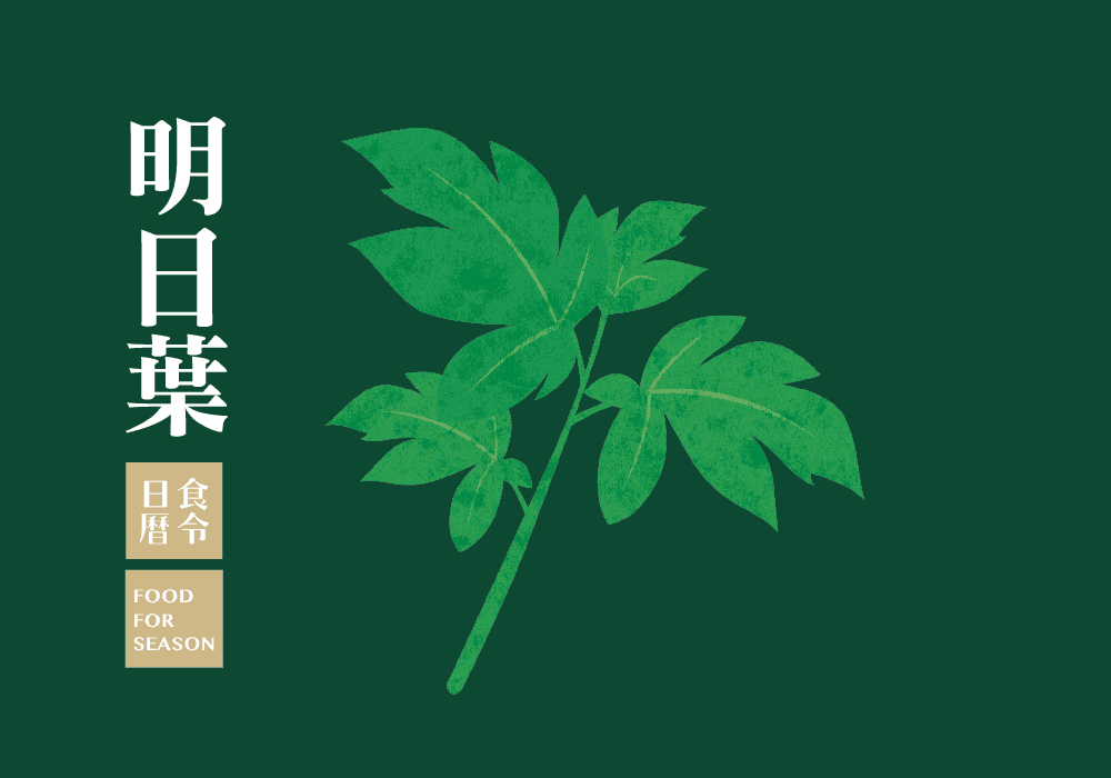 食令營養_明日葉