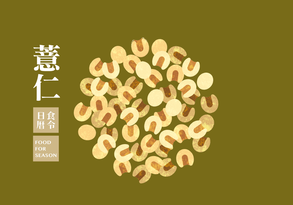 食令營養_薏仁