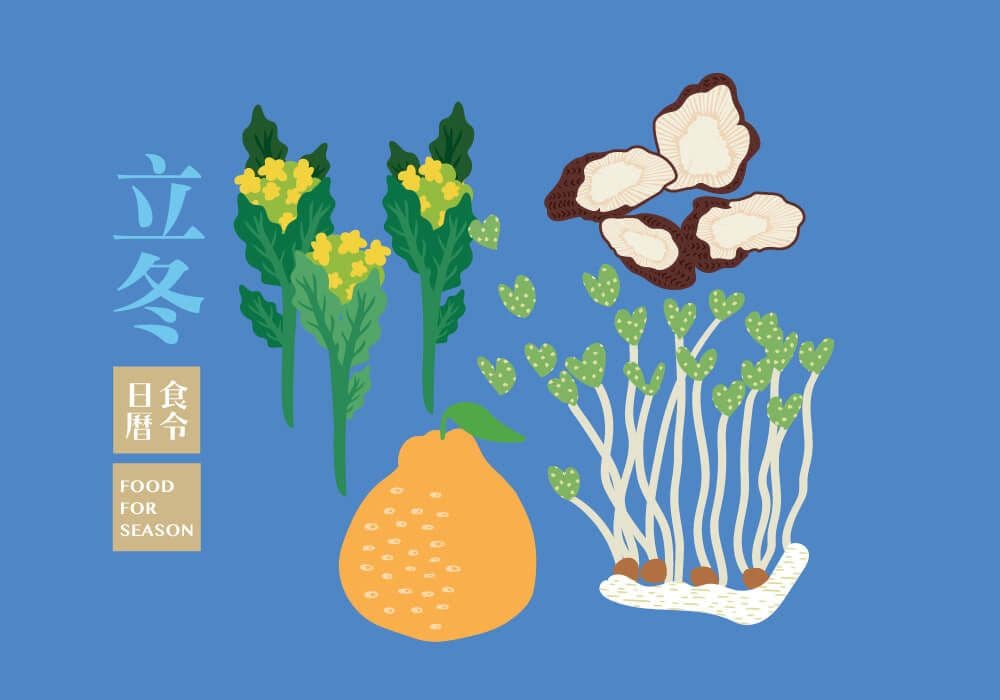 節氣_立冬儲能