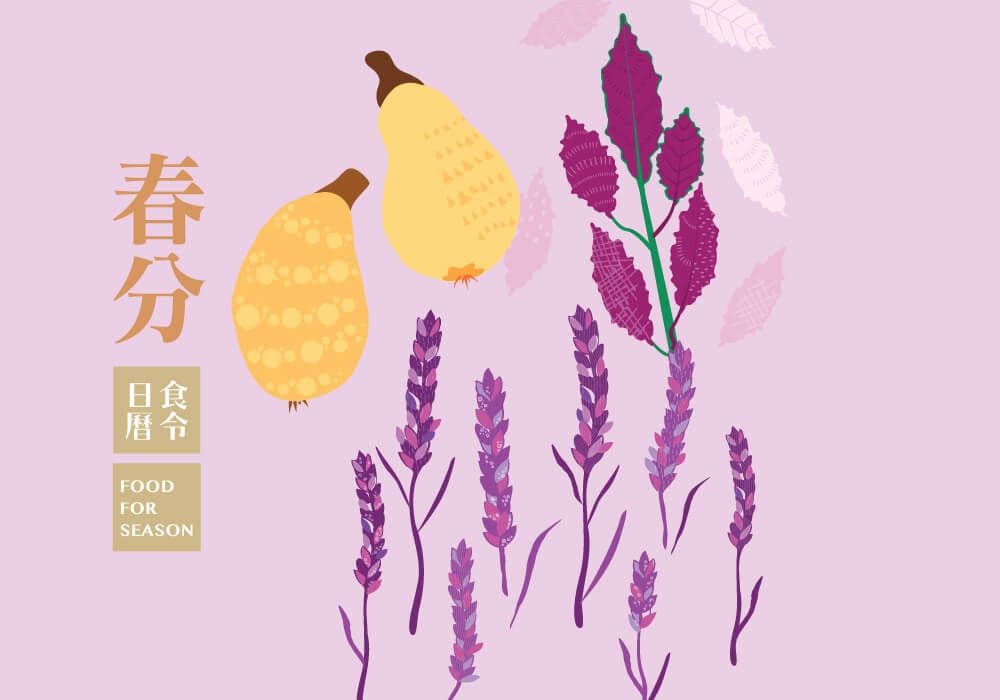 節氣_春分回暖