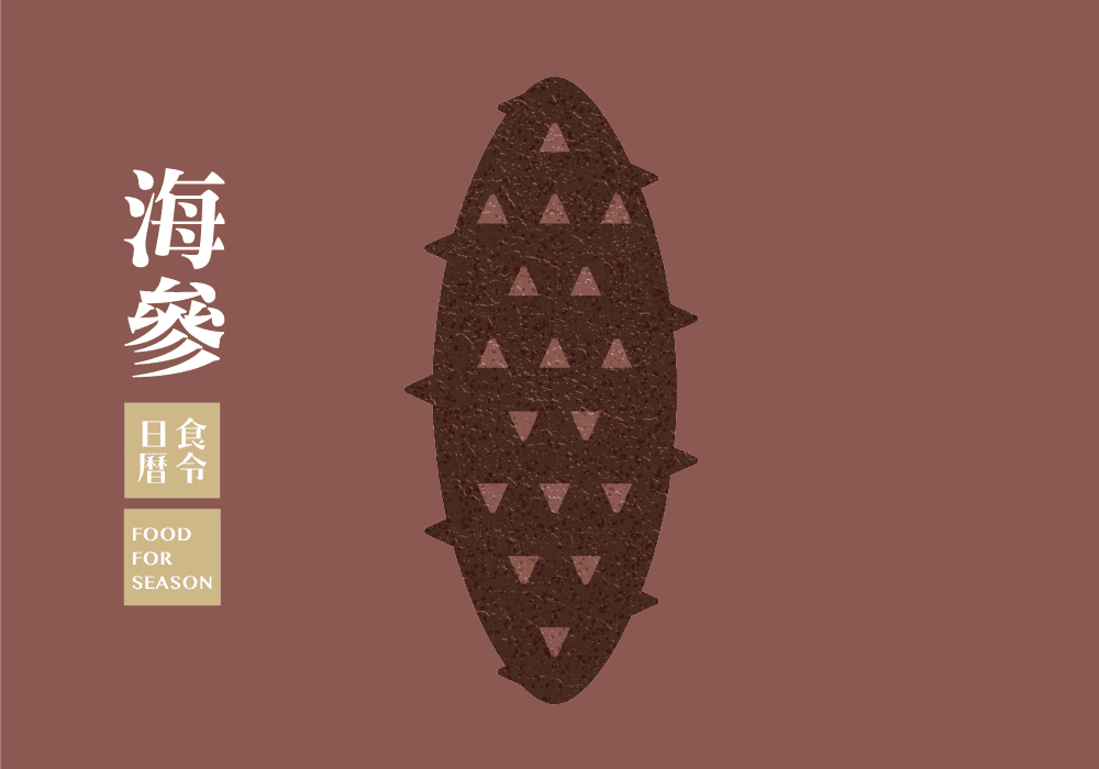顧好腎氣,人生長跑不煩惱『海參』