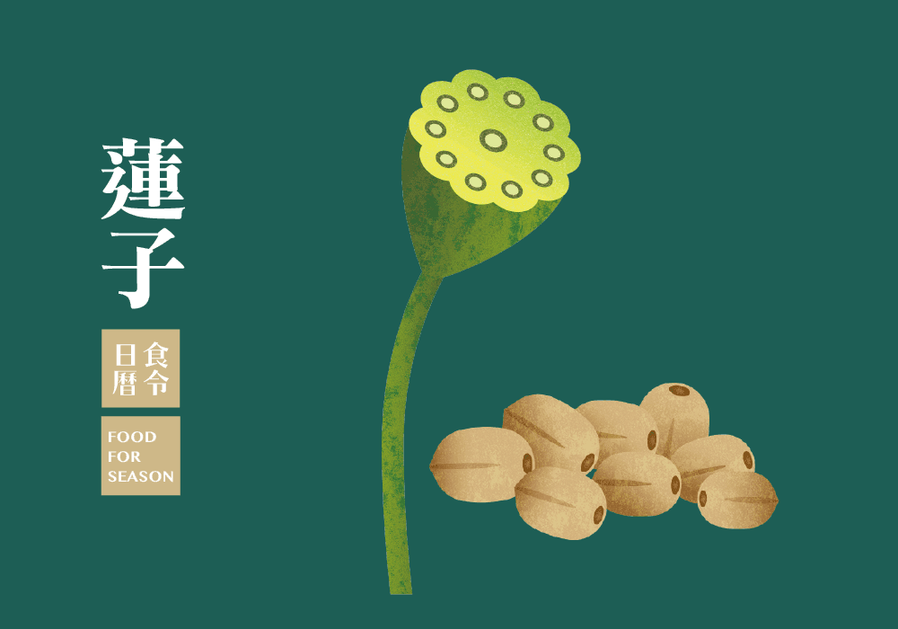 食令營養_蓮子